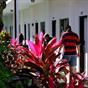 Red Carpet Inn Nassau