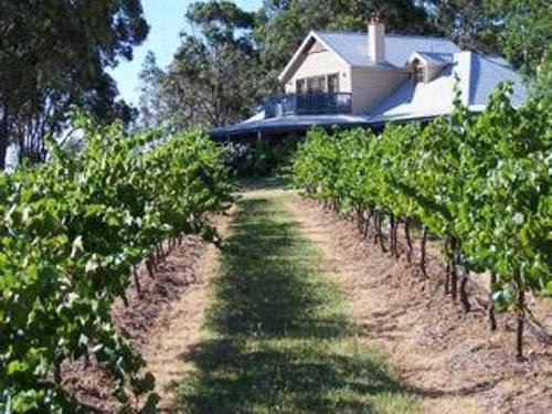 Photo: Spicers Vineyards Estate Photo: Spicers Vineyards Estate