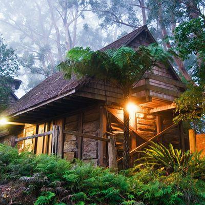 Photo: Binna Burra Mountain Lodge Beechmont Photo: Binna Burra Mountain Lodge Beechmont