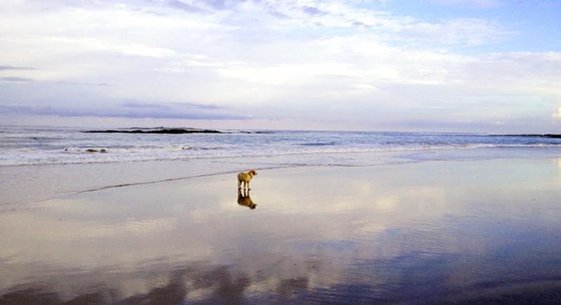 Photo: Burrum River Retreat Apollo Bay Photo: Burrum River Retreat Apollo Bay