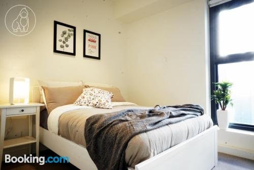 Photo: Donkey Kong Short Stay - The William Photo: Donkey Kong Short Stay - The William