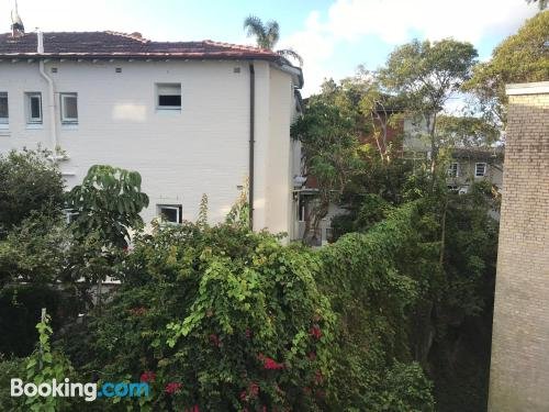 Photo: Woollahra Gem Spectacular Views and Garden Paradise Photo: Woollahra Gem Spectacular Views and Garden Paradise