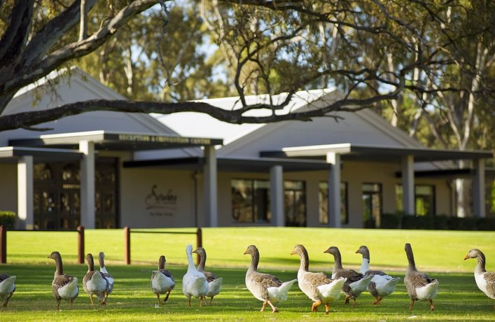 Photo: Serafino McLaren Vale Photo: Serafino McLaren Vale