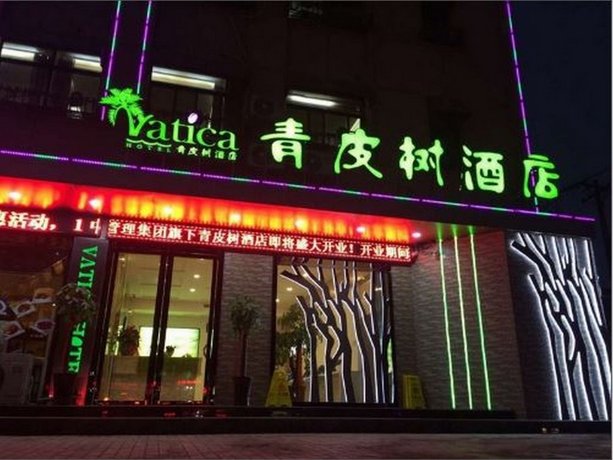 青皮树安徽省合肥市和平路安纺总厂酒店