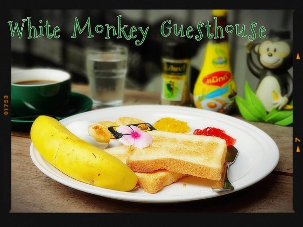 white monkey guesthouse