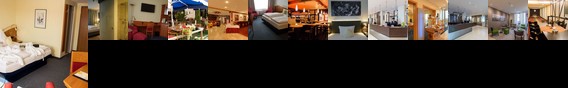 Ringhotel Drees Ringhotel Drees