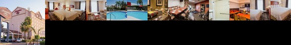Hampton Inn by Hilton Torreon-Airport Galerias