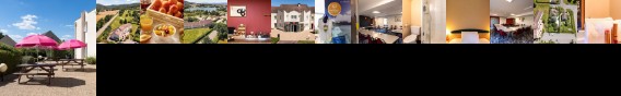 Ibis Autun