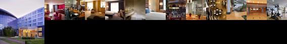 Hyatt Regency Paris Charles de Gaulle Hyatt Regency Paris Charles de Gaulle
