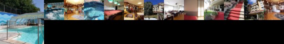 Hotel Astoria Salsomaggiore Terme Hotel Astoria Salsomaggiore Terme