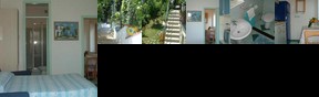 Giardino dei Limoni B&B Giardino dei Limoni B&B