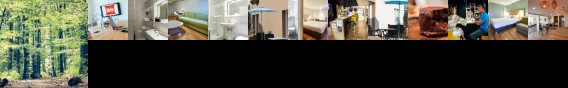 Ibis Haguenau Strasbourg Nord Hotel
