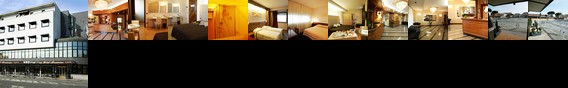 Hotel Alexander Cesena Hotel Alexander Cesena