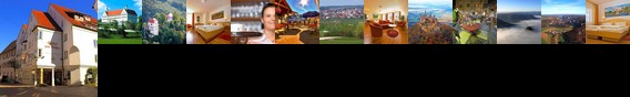 Hotel Gasthof Zum Ochsen Ehingen