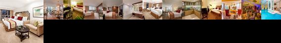 Discovery Suites