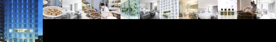 Ambience Hotel Ambience Hotel
