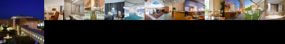 Hilton Rome Airport Hotel Hilton Rome Airport Hotel