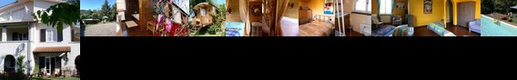 Dreamers Bed & Breakfast Lucca Dreamers Bed & Breakfast Lucca