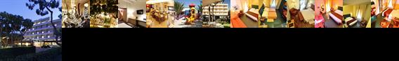 Hotel Cristallo Giulianova Hotel Cristallo Giulianova