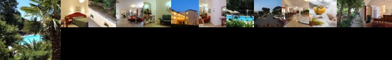 Hotel Villa Rosa Martina Franca Hotel Villa Rosa Martina Franca