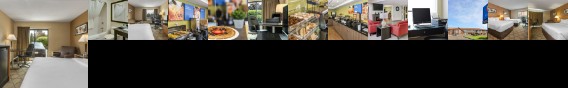 Comfort Inn Brandon City