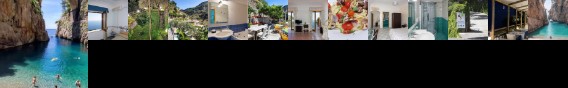 Holidays Fico d'India / Prickly Pear Holidays Fico d'India / Prickly Pear