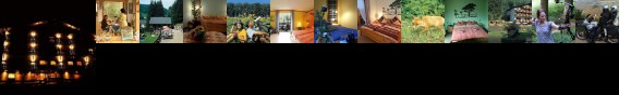 WolffHotel Kopp