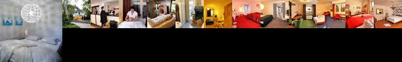 Hotel Viva Creativo Hotel Viva Creativo