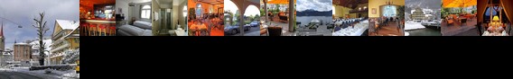Hotel Schweizerhof Weggis