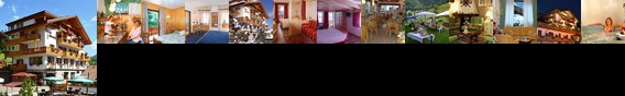 Hotel Monza Moena Hotel Monza Moena