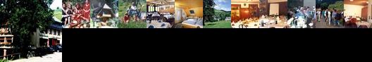 Hotel Adler Todtnau