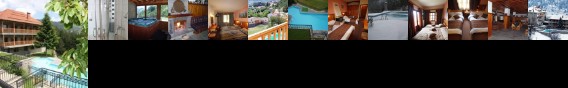 Victoria Hotel Metsovo