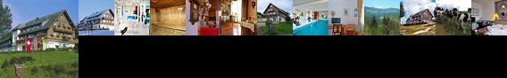 Diana Hotel Feldberg (Baden Wurttemberg)