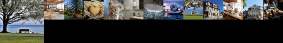 Teddybarenhotel Peterhof Kressbronn am Bodensee