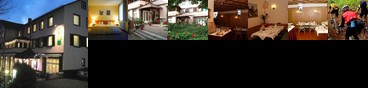 Hotel Badischer Loewe Buhlertal
