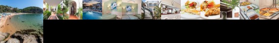 Hotel Ninays Lloret de Mar Hotel Ninays Lloret de Mar