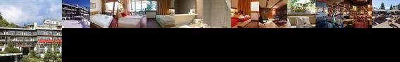 Hotel De la Foret Crans-Montana
