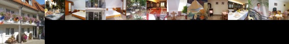 Gasthof Lowen Breisach