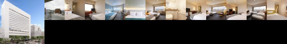 Hotel Nikko Himeji