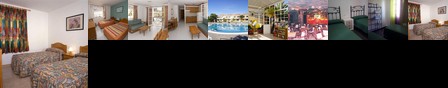 Laurisilva Apartments Laurisilva Apartments