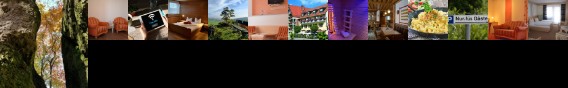 Konigsteiner Hof Koenigstein Im Taunus