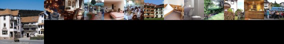 Akzent Hotel Burg Waldau