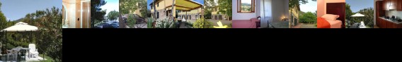 Agriturismo Il Gelso Santa Luce