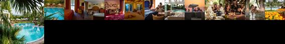 Color Hotel Color Hotel