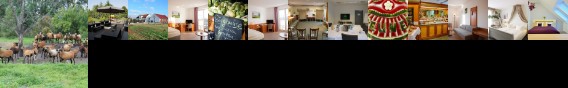 Flair Hotel Reuner