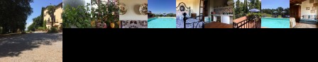 Orchidea Bed & Breakfast Palaia