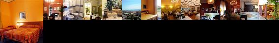 Internazionale Hotel Viareggio Internazionale Hotel Viareggio