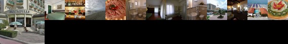 Piccadilly Hotel Camaiore Piccadilly Hotel Camaiore