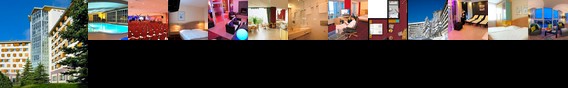 Hotel Ringberg