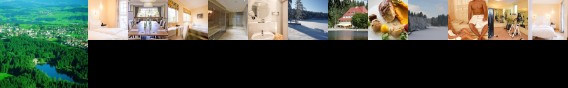 Hotel Waldsee Lindenberg im Allgau